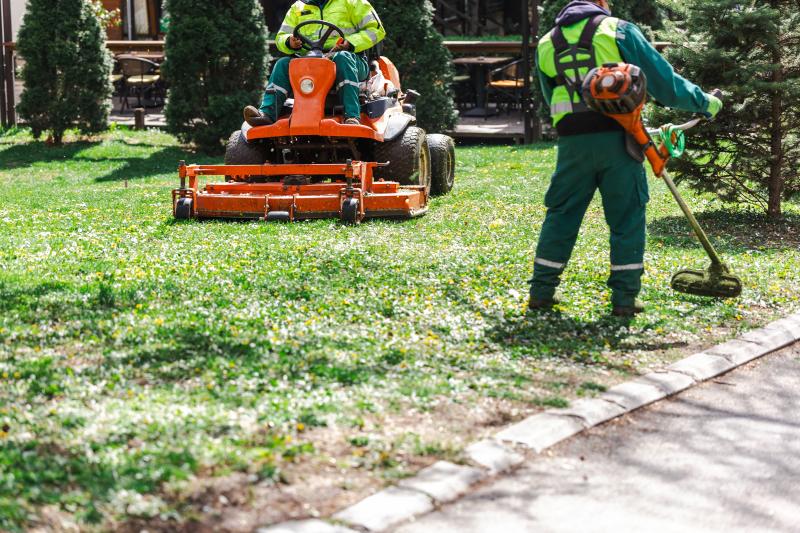 Comment choisir un paysagiste qualifié pour transformer votre espace vert ?