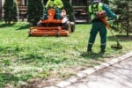 Comment choisir un paysagiste qualifié pour transformer votre espace vert ?
